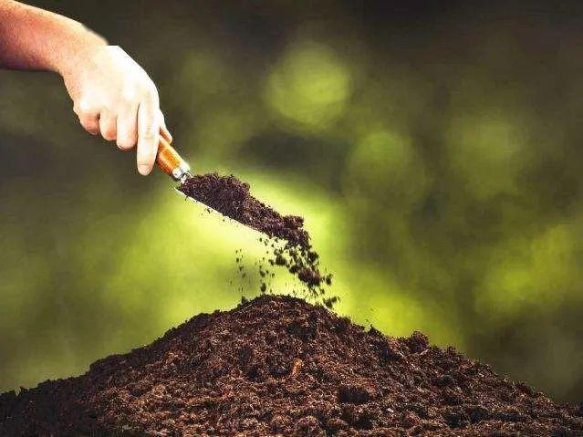 怎樣合理保存肥料