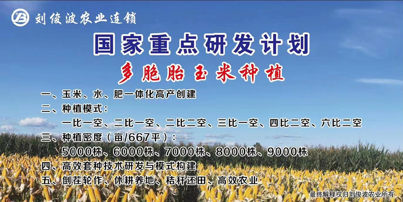 d4049bb92fca783d3ecbb852828b81d.jpg